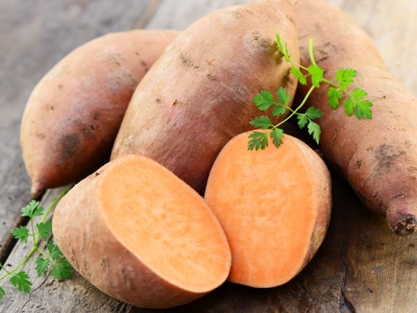 Сладкий картофель и его выращивание