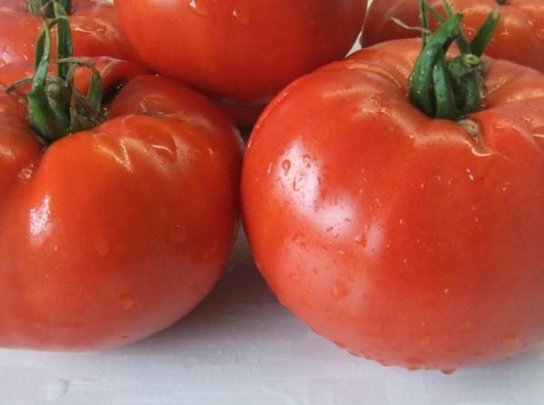 Крупноплодные помидоры «Бычье сердце» и другие сорта: когда сажать на рассаду - Klumba.guru